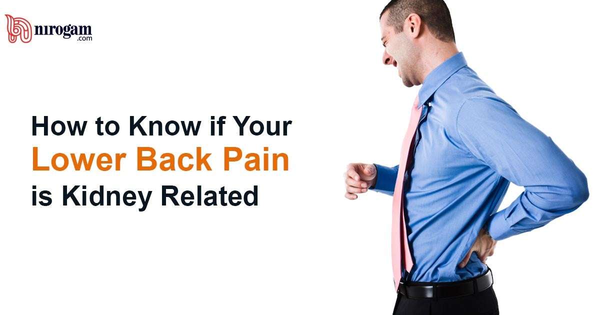 How to Know if Your Lower Back Pain is Kidney Related ...