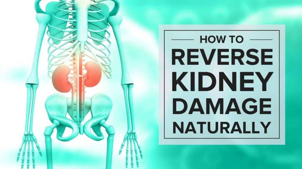 How to Reverse Kidney Damage Naturally