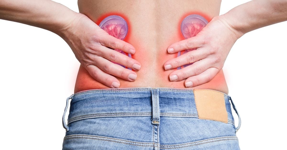 How to tell the difference between kidney pain and lower ...