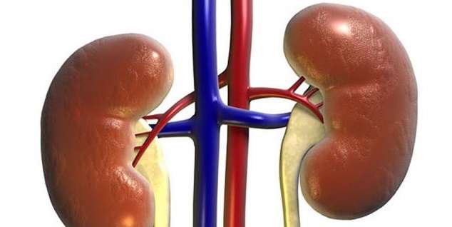 How to Treat Kidney Infection Naturally