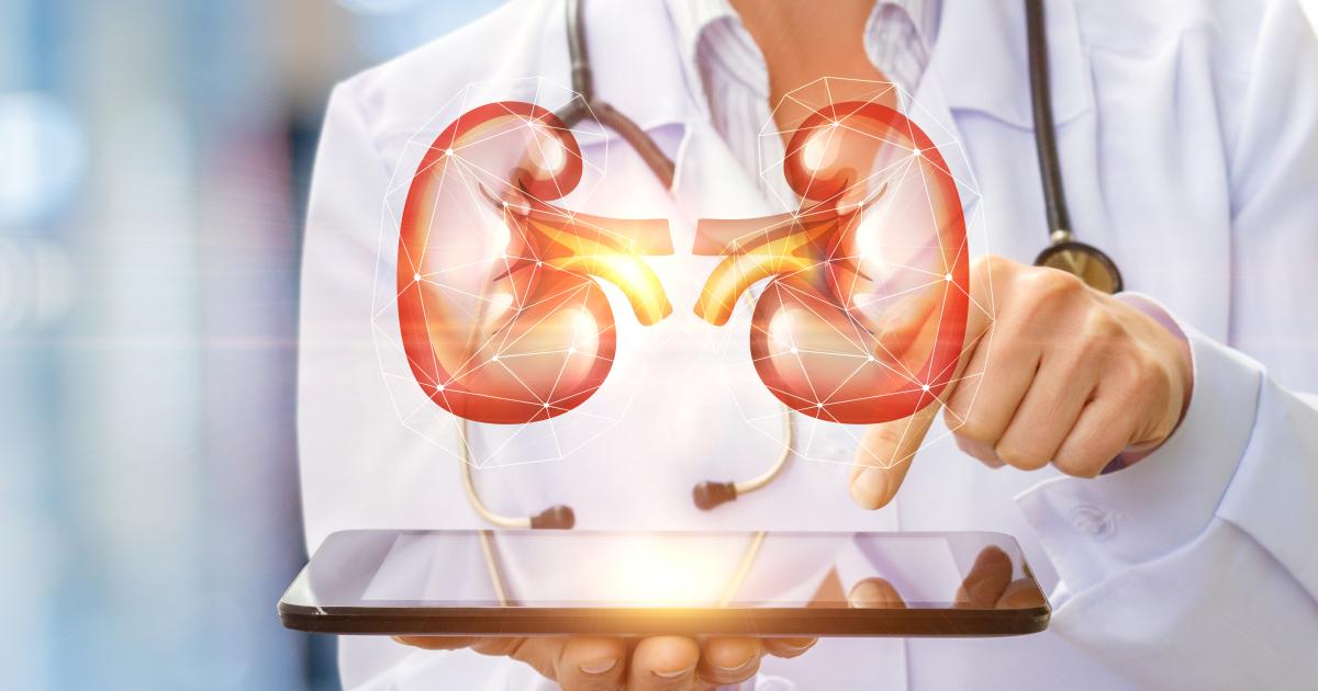 How Your Kidneys Work, and What They Do