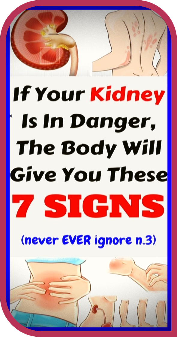 If Your Kidney Is In Danger, The Body Will Give You These ...
