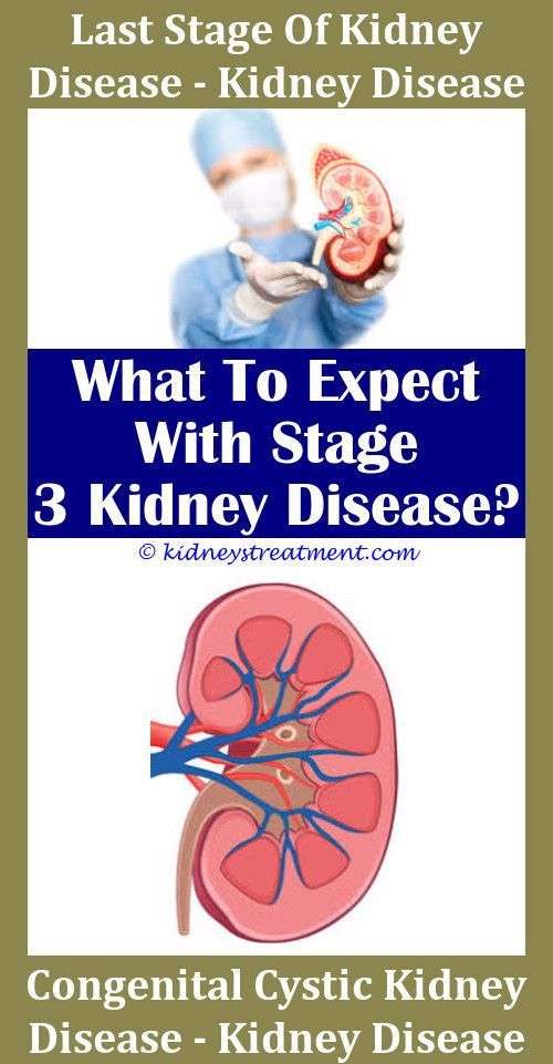 Iga Nephropathy Kidney Disease How Long Can You Live With Stage 3 ...