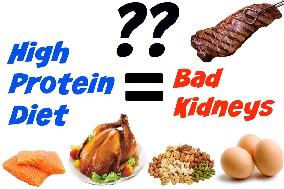 Is a high protein diet bad for your kidneys??