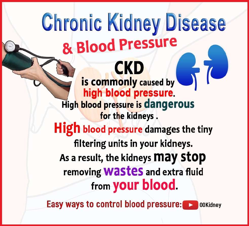 Is it really possible to get off kidney dialysis?: Chronic ...
