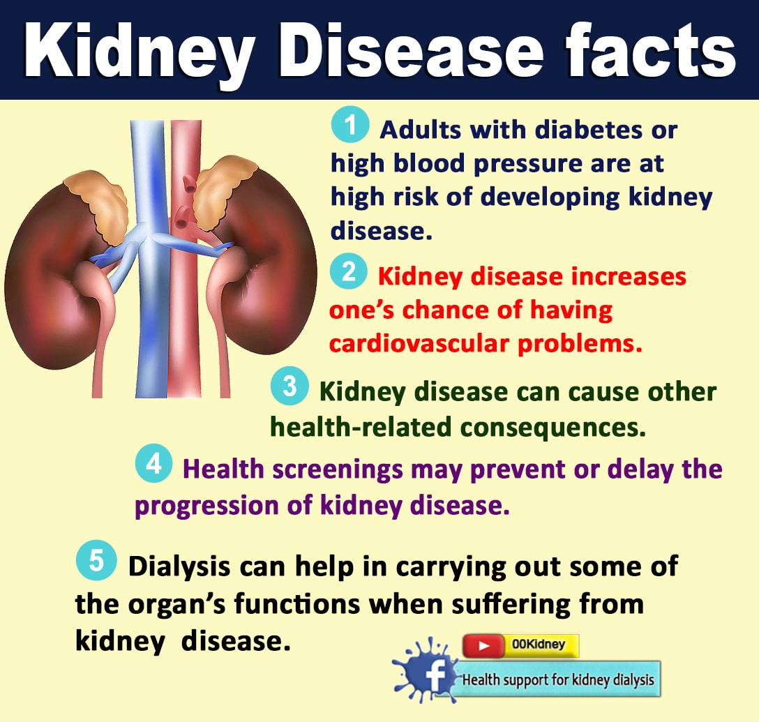 Is it really possible to get off kidney dialysis?: KIDNEY DISEASE FACTS