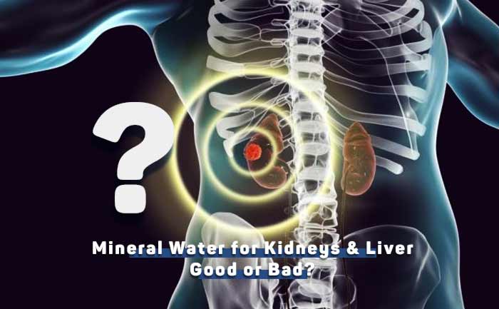 Is Mineral Water Bad For Your Kidneys And Liver ...