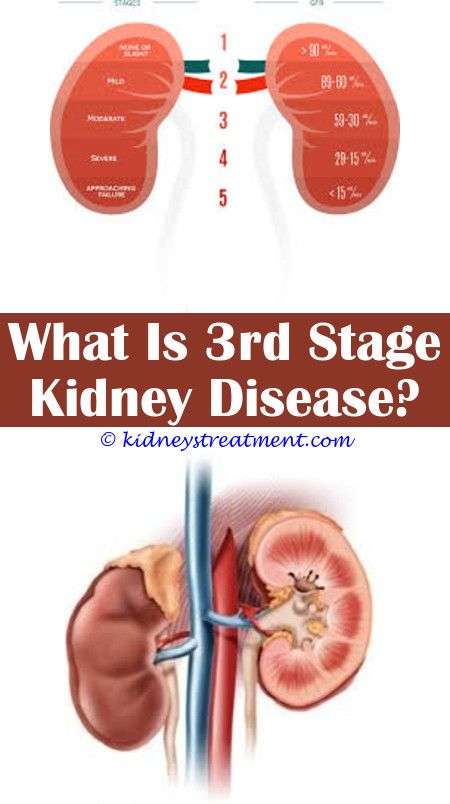 Kidney Disease 3rd Stage
