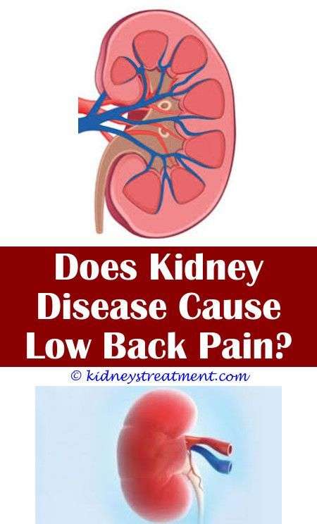 Kidney Disease Cause Gout