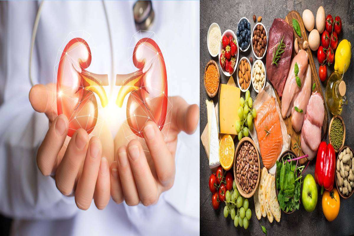 Kidney Disease  Definition, The 22 Best Foods for Patient ...