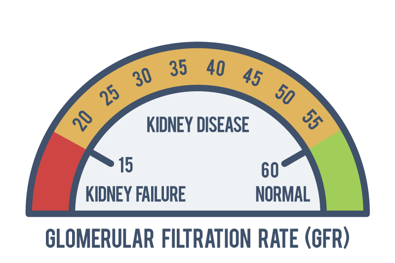 Kidney Disease GFR Calculator