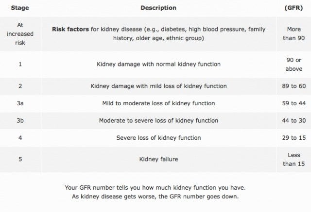 Kidney Disease: What Your Doctor Won