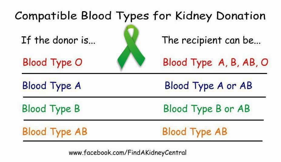 Kidney Donor Blood Type Requirements