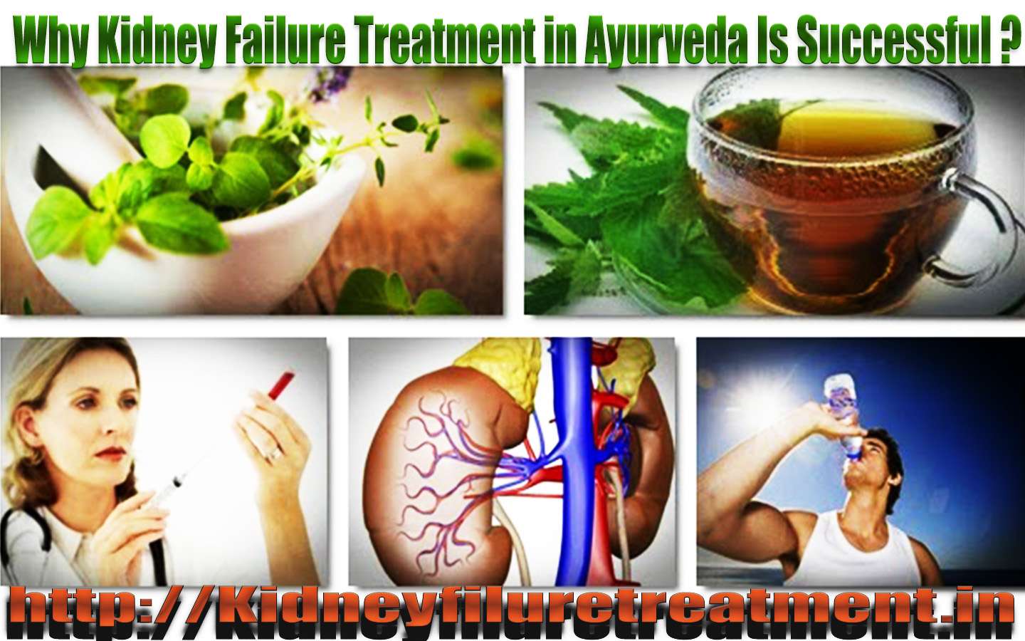 kidney failure treatment in ayurveda, medicine Dr Puneet Dhawan