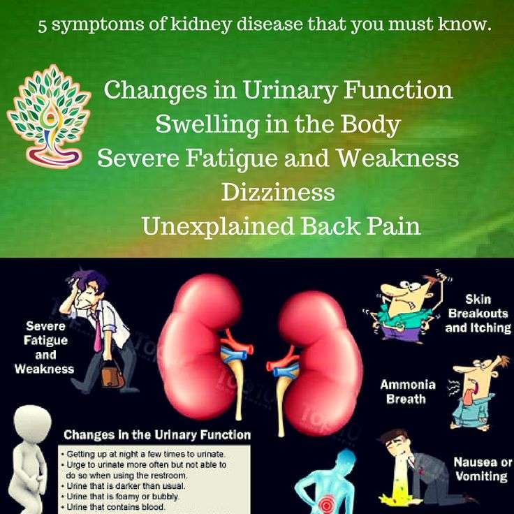Kidney function declines with age. However, certain ...