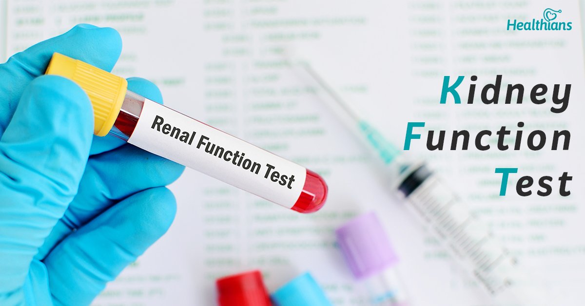 Kidney Function Test @Home: Purpose, Types, When to do ...