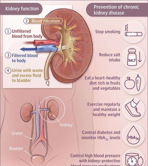 Kidney Infection Symptoms Youtube