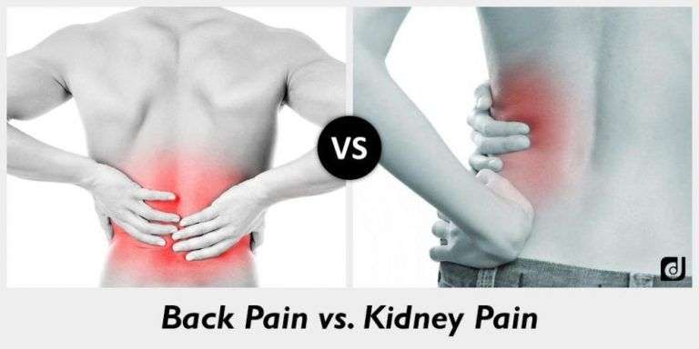 Kidney Pain In Back