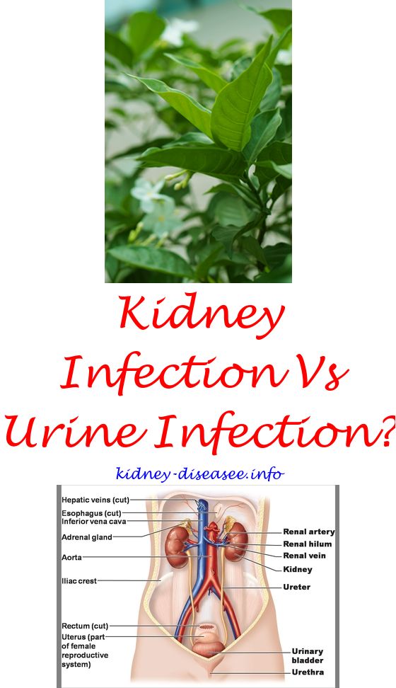 Kidney Pain Symptoms Female