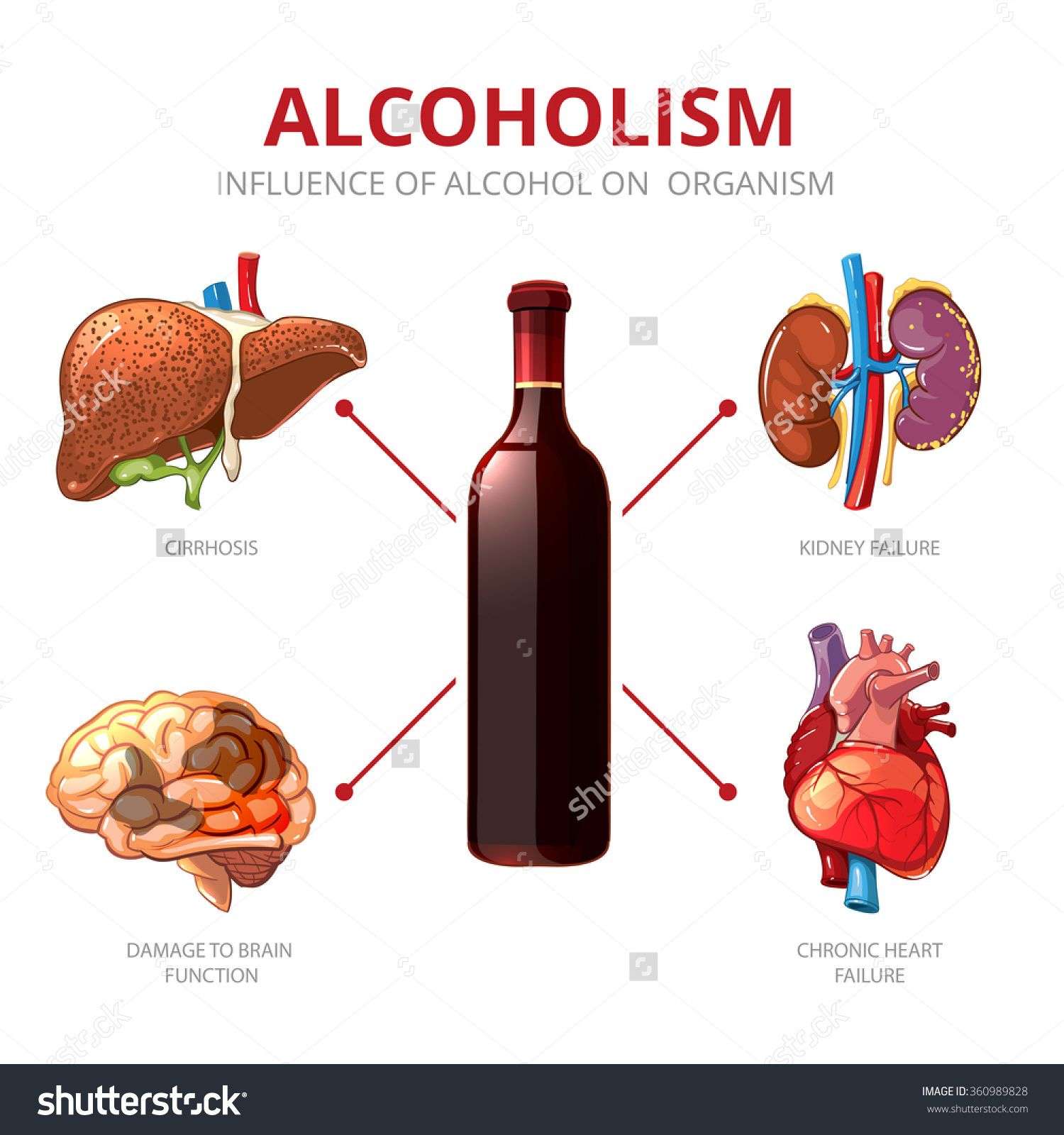 Kidney Reaction To Alcohol