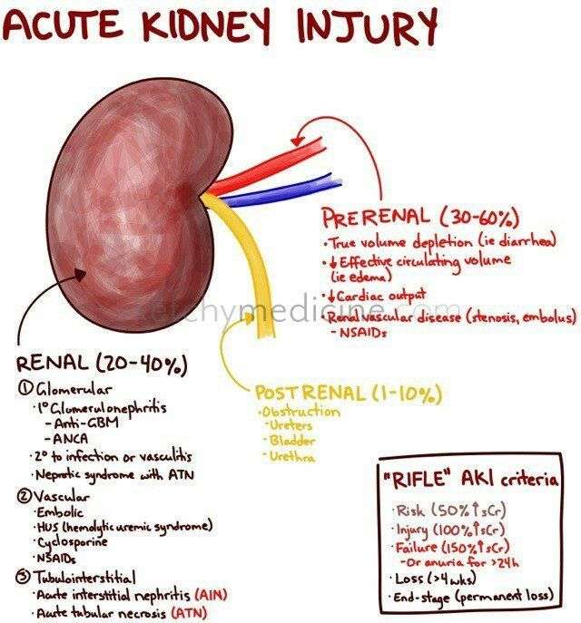 Kidney Stones And Blood In Stool