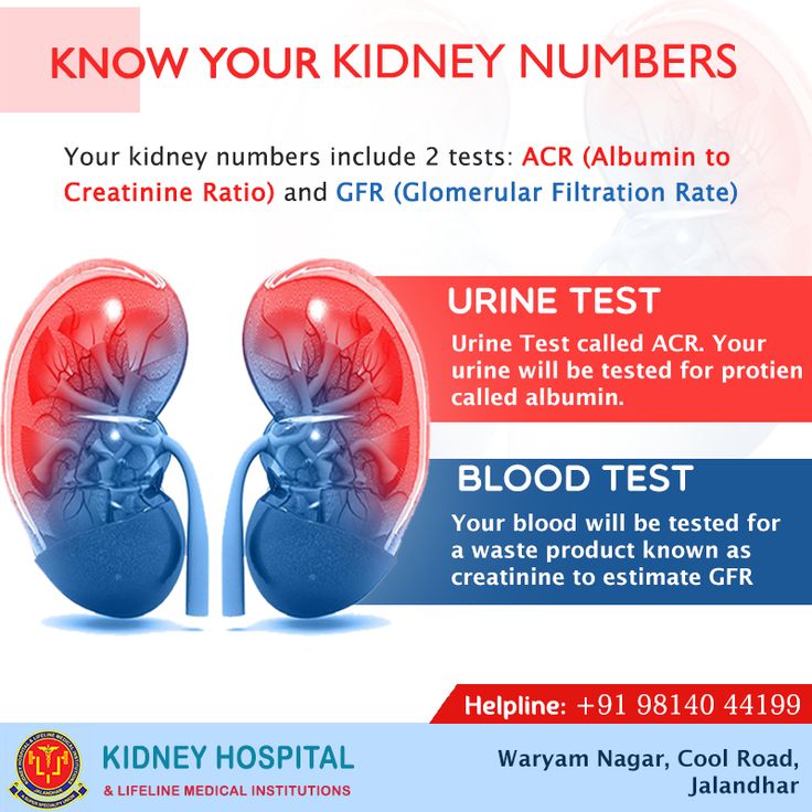 Kidney Tests