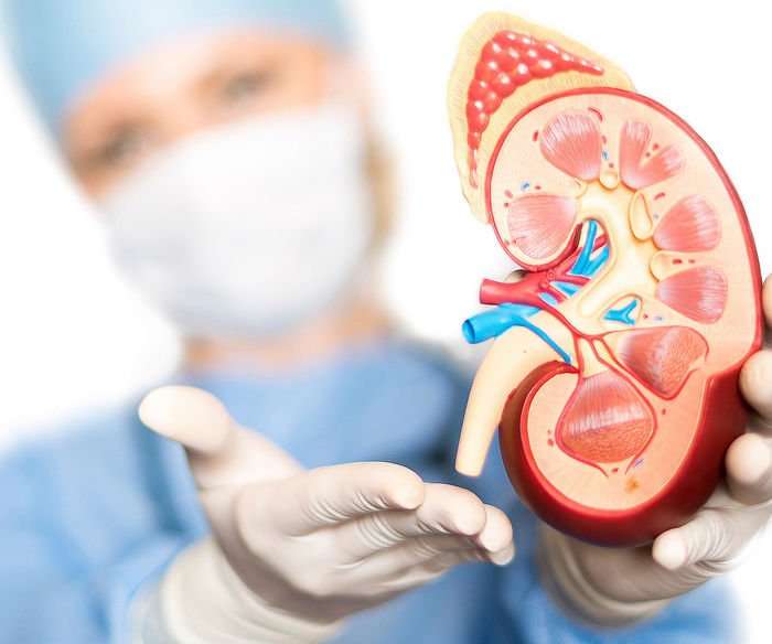 Kidney Transplant in India