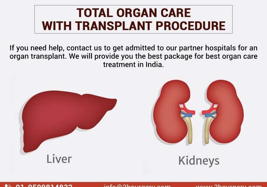 Kidney Vs Liver Transplant