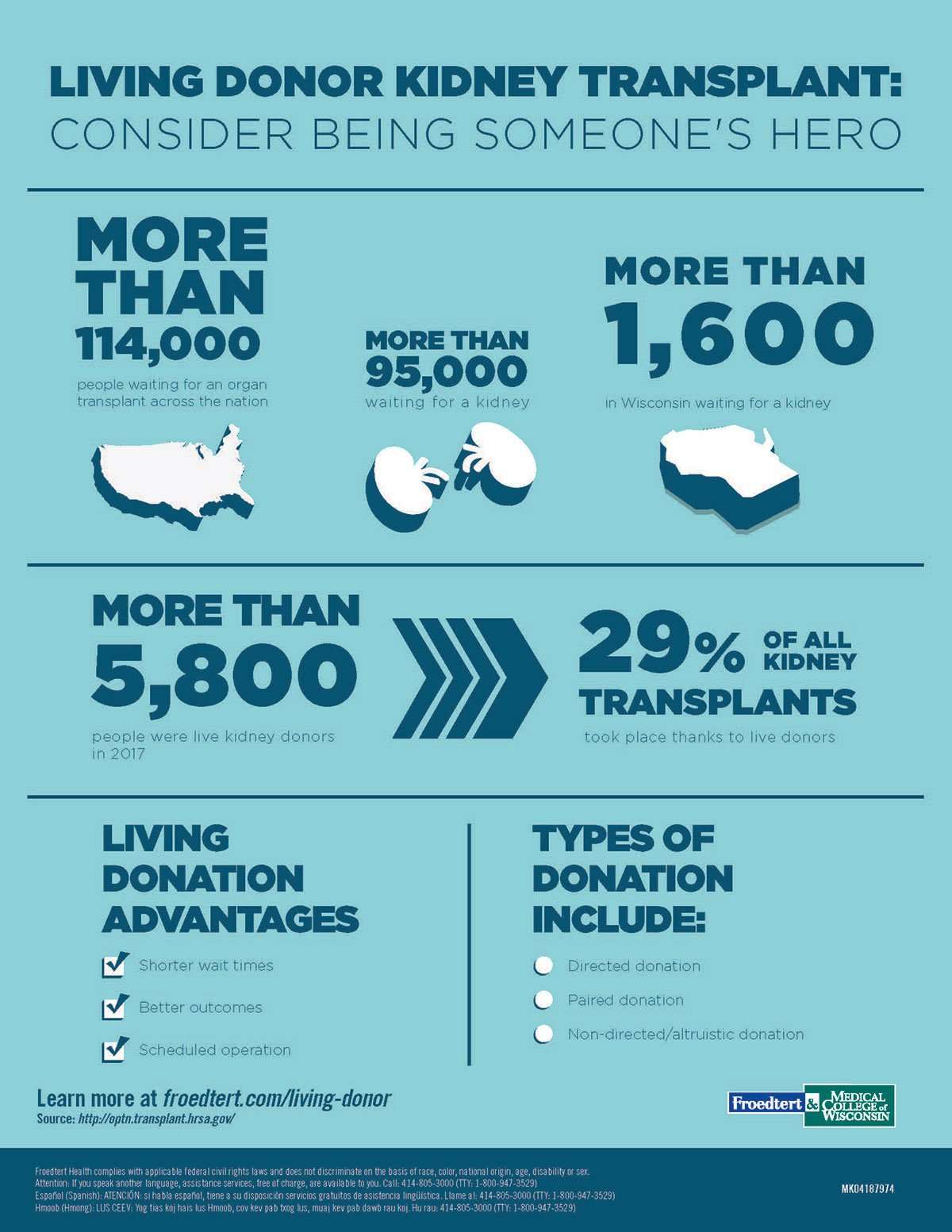 Living Kidney Donor Infographic
