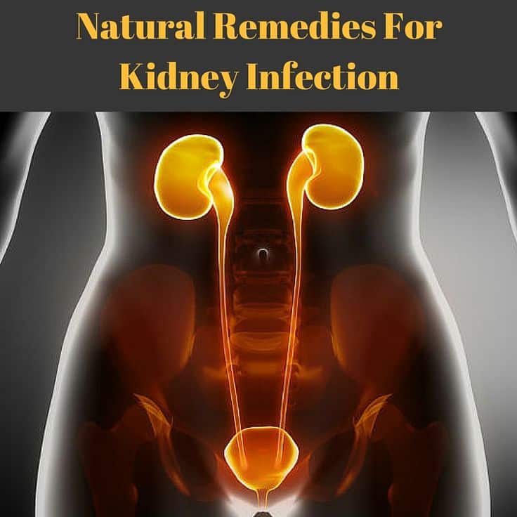 Natural Remedies For Kidney Infection