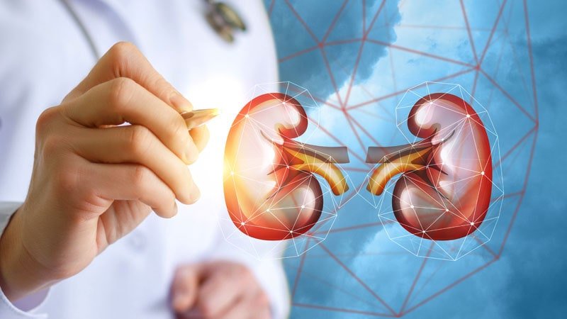 New therapeutic targets for kidney fibrosis emerge ...