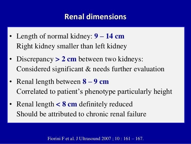 Normal Kidney Size By Age In Mm