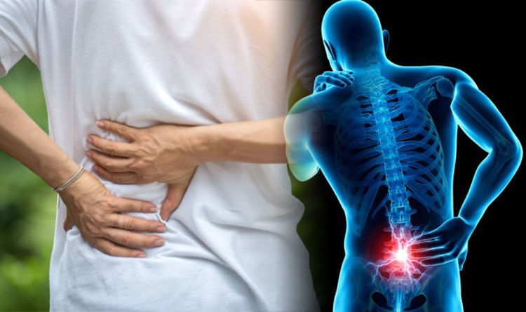 Obtain How To Tell Back Pain From Kidney Pain You Must ...