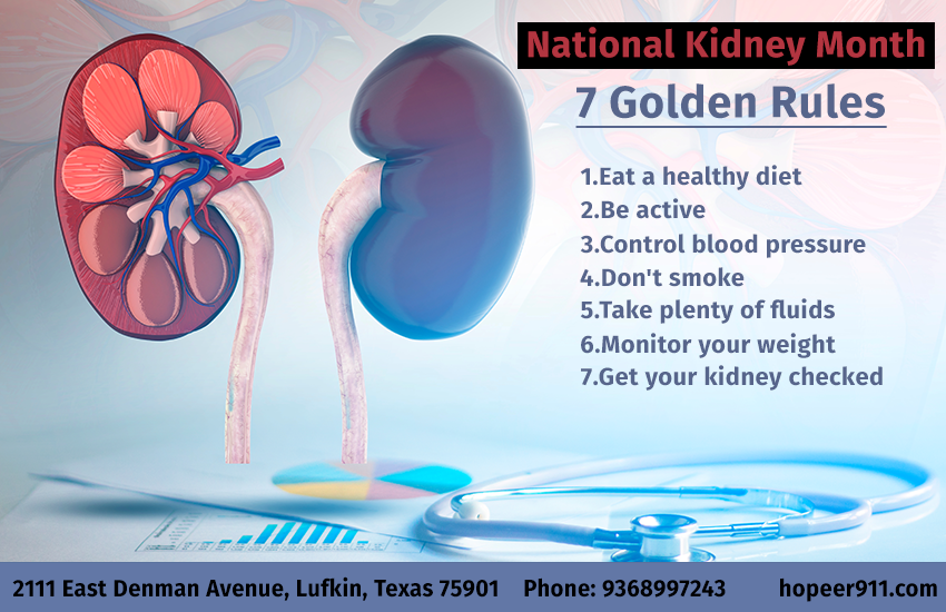 Our kidneys are small in size, but they perform many ...