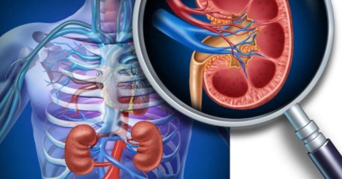 Partial Kidney Removal Side Effects