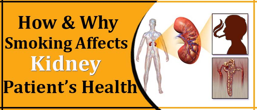 Pin on How & why smoking affects kidney patients health