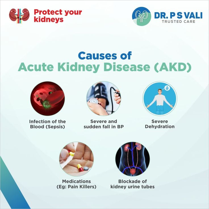Pin on Protect your Kidneys