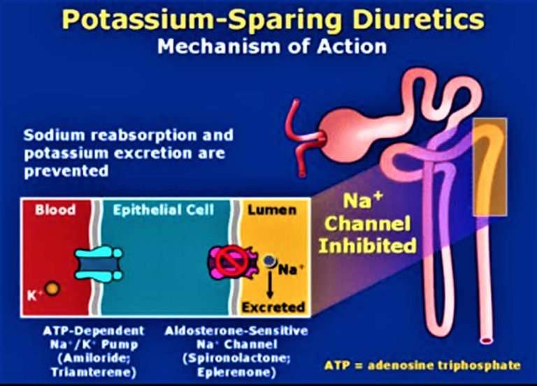 Potassium sparing diuretics drugs list, mechanism of ...