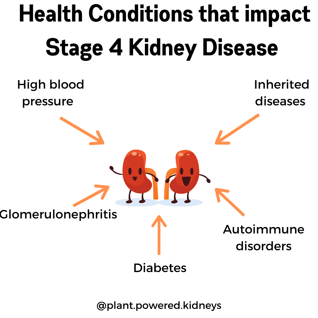 Stage 4 Kidney Disease: The Ultimate Guide