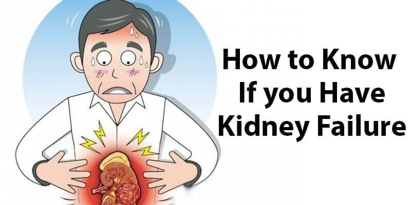 Symptoms of Kidney Failure &  How to Know if You Have it ...