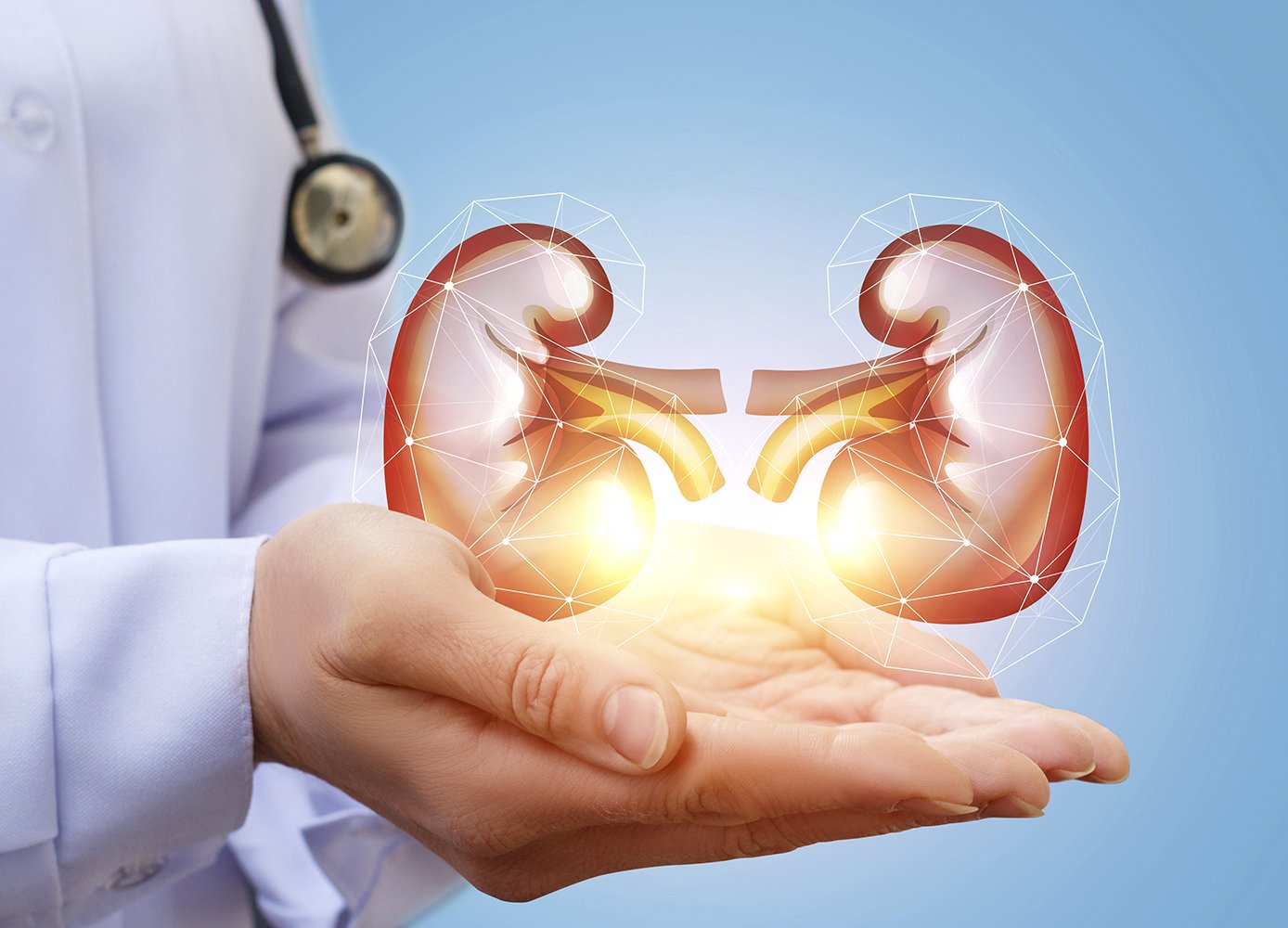 Take Better Care of Your Kidneys