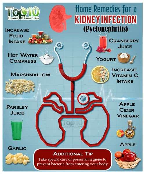 The 25+ best Kidney infection causes ideas on Pinterest ...