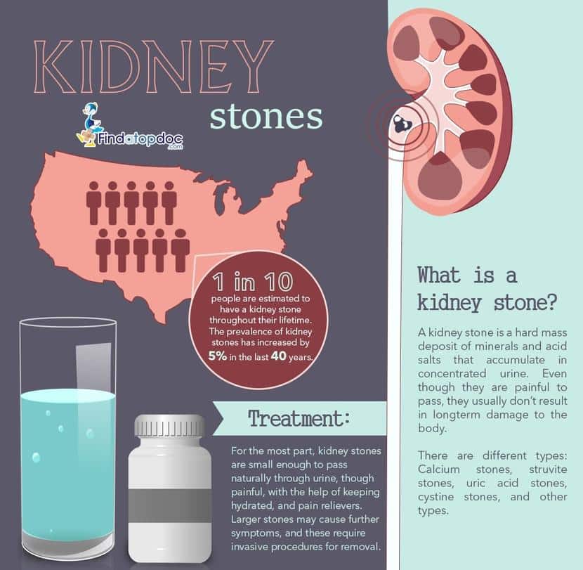 The Different Types of Urinary Tract Infections: Cystitis, Kidney ...
