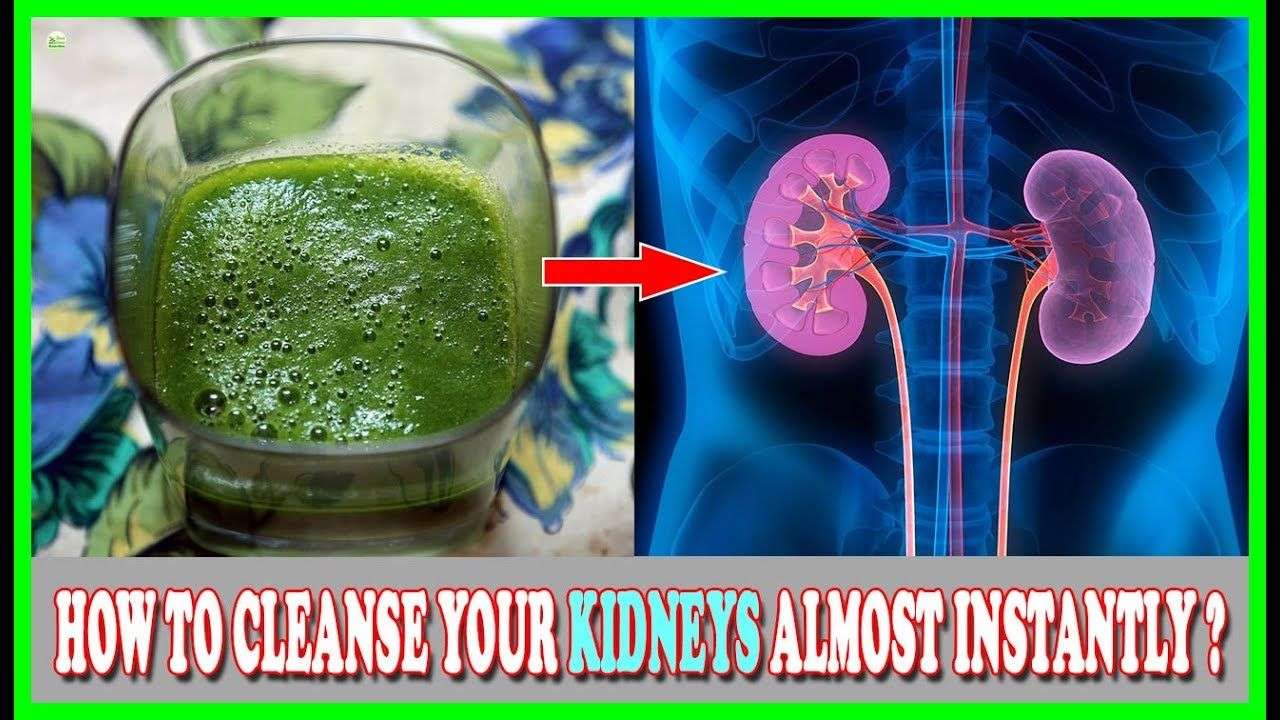 The kidneys perform several vital functions in the body ...