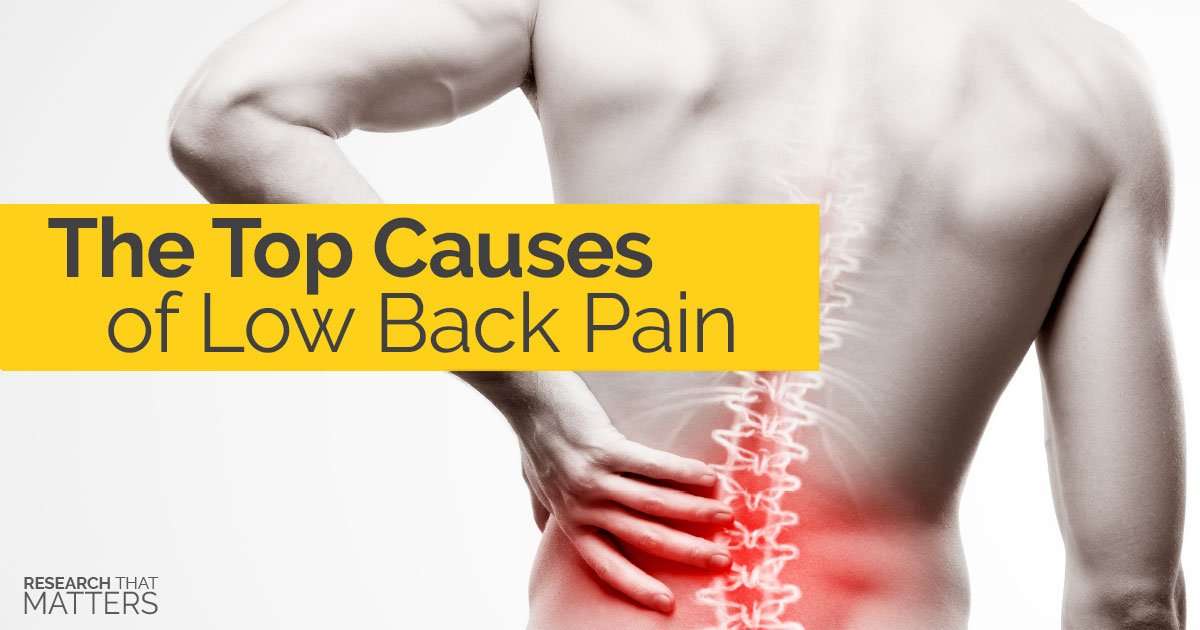 The Top Causes of Low Back Pain