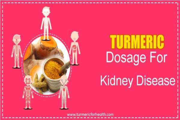 Turmeric Dosage For Kidney Disorders