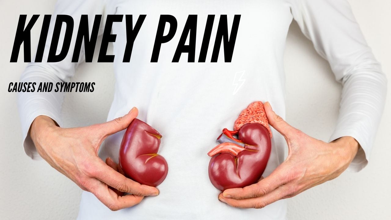 Understanding Symptoms Of Kidney Pain You Must Know ...