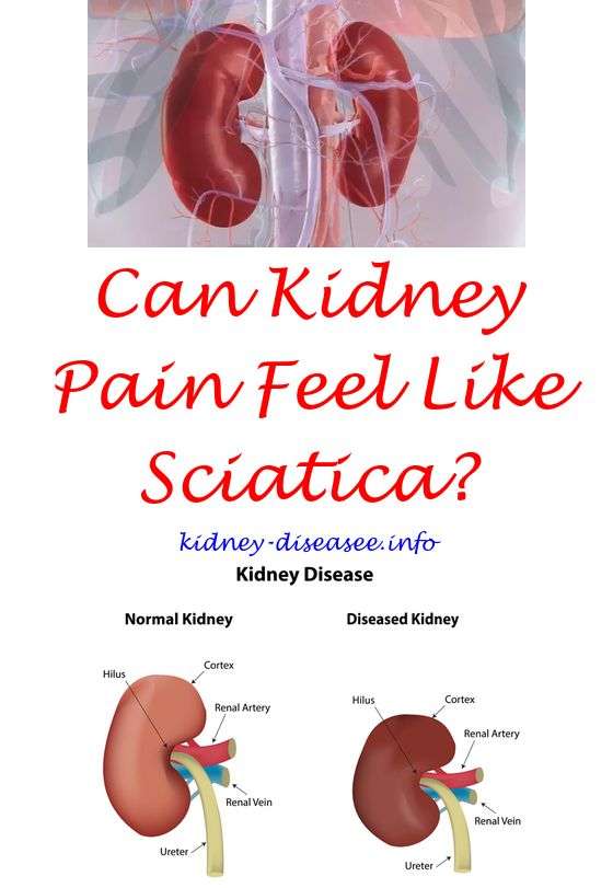 View How Does Kidney Pain Feel Like Information