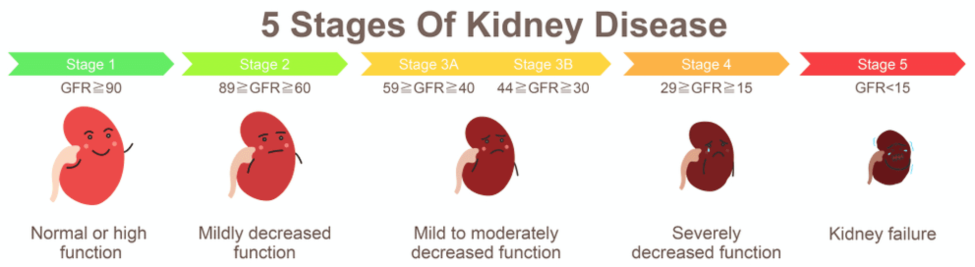 What are signs that my kidneys do not work well ...