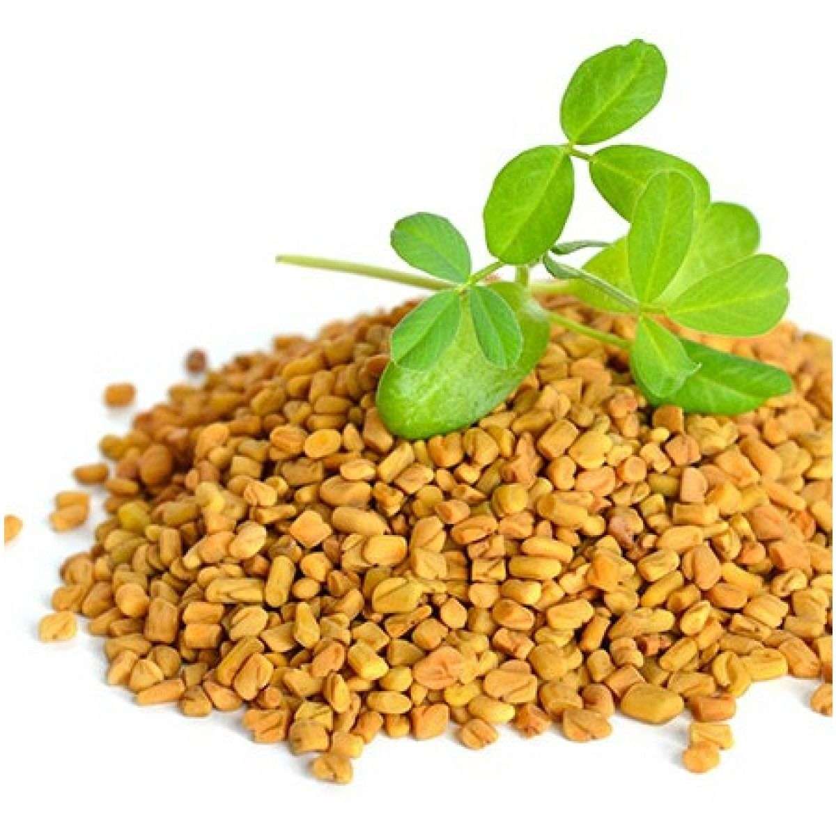 What are the benefits of fenugreek?  CARELUX